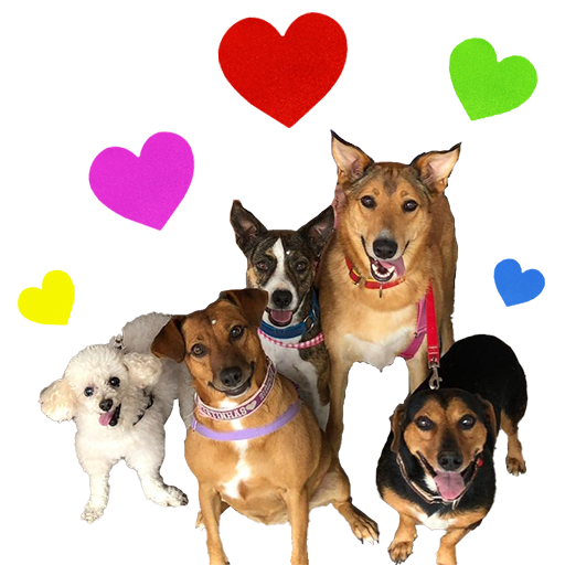 Turminha da bagunça